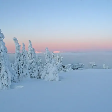 Ferienhuetten Zimmermann بيت للعطل *