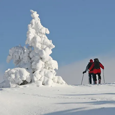 Ferienhuetten Zimmermann Holiday home Spital am Semmering