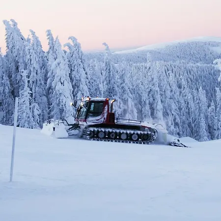 Ferienhuetten Zimmermann *