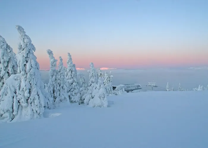 Ferienhuetten Zimmermann بيت للعطل *