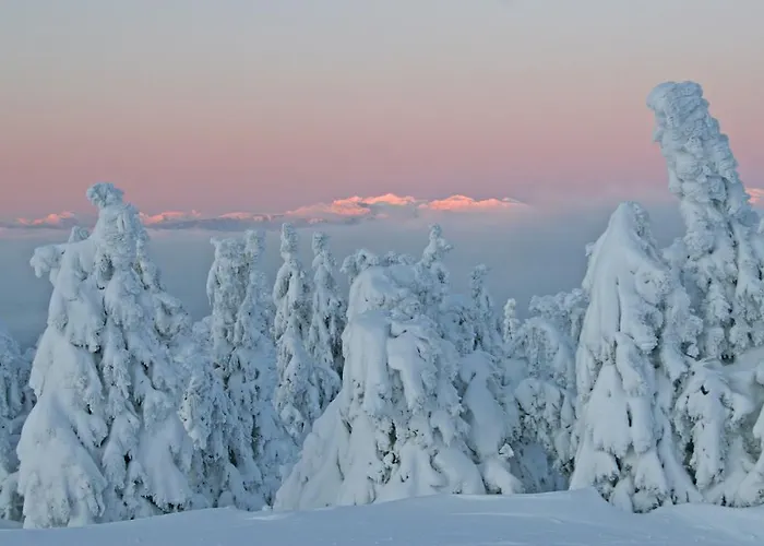 Ferienhuetten Zimmermann Spital am Semmering
