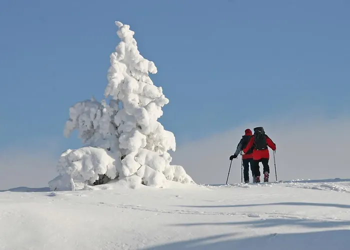 Ferienhuetten Zimmermann Feriehus Spital am Semmering